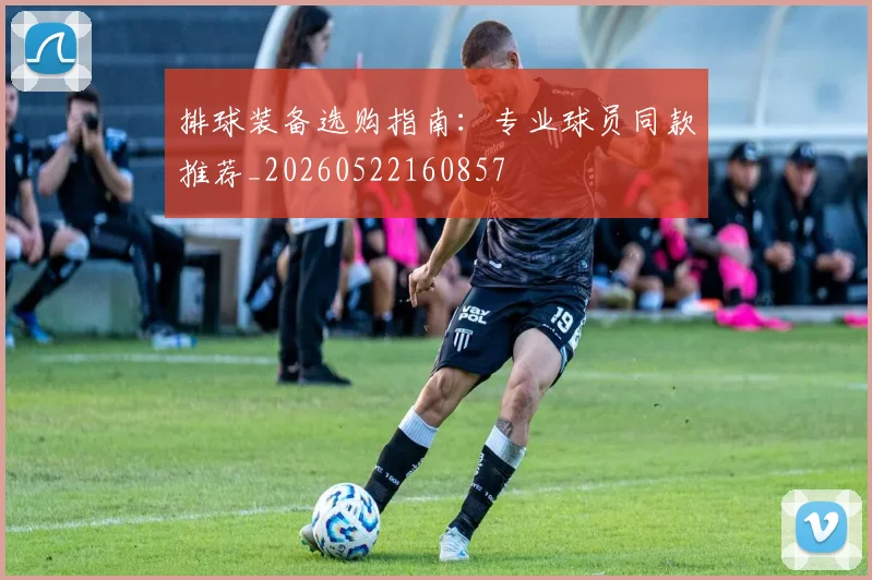 排球装备选购指南：专业球员同款推荐_20260522160857